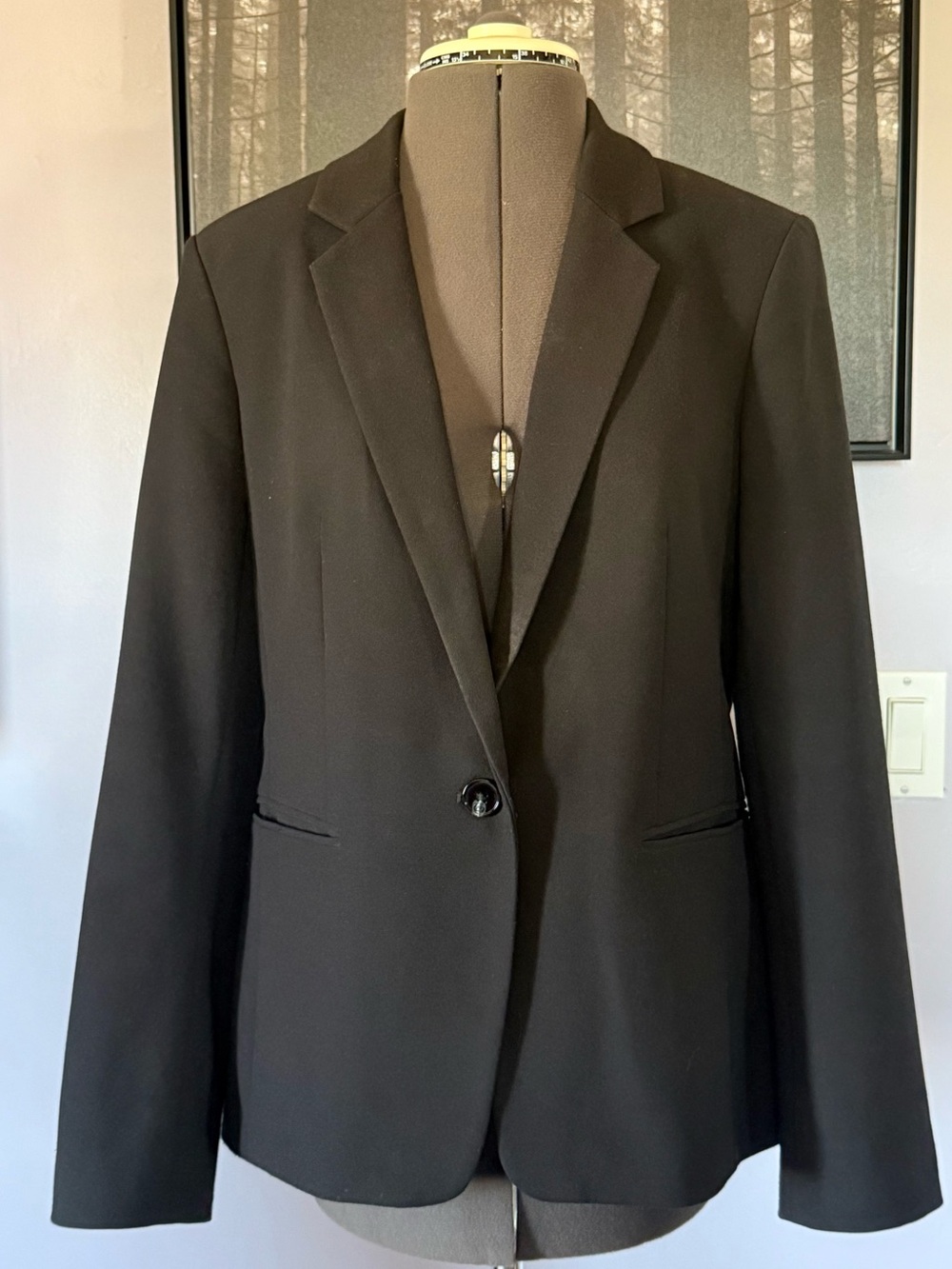 Express Classic Black Single-Button Women’s Blazer Size 12